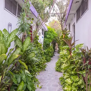 Aventura 2*, Merida Mexico